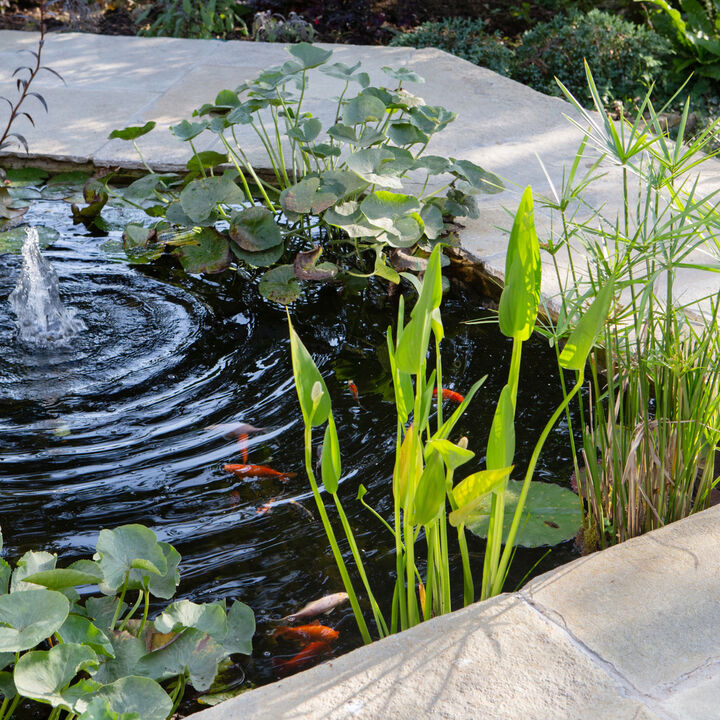 AM Gardens_Clouds Hill pool 3.jpg
