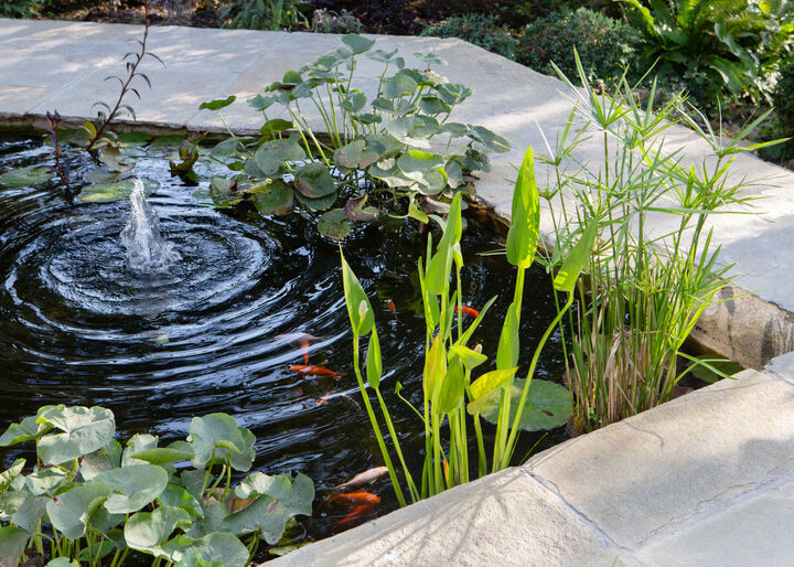 AM Gardens_Clouds Hill pool 3.jpg