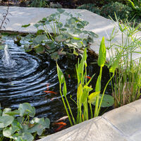 AM Gardens_Clouds Hill pool 3.jpg
