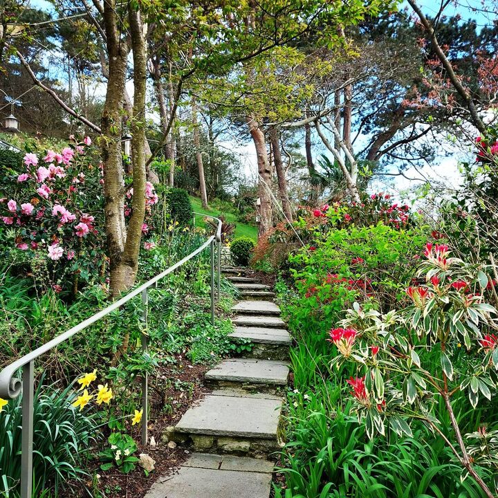 AM Gardens_Clouds Hill pool 4.jpg