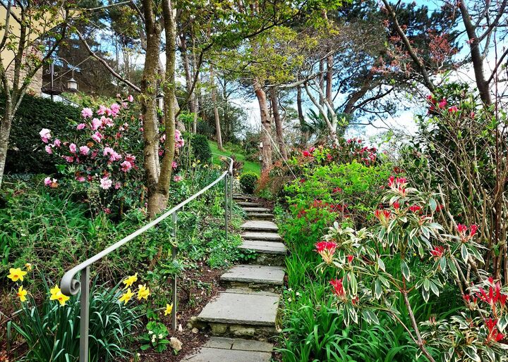 AM Gardens_Clouds Hill pool 4.jpg