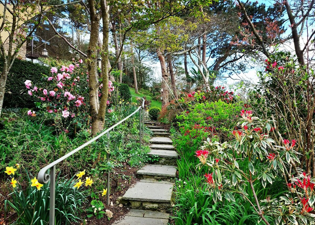 AM Gardens_Clouds Hill pool 4.jpg