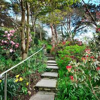 AM Gardens_Clouds Hill pool 4.jpg