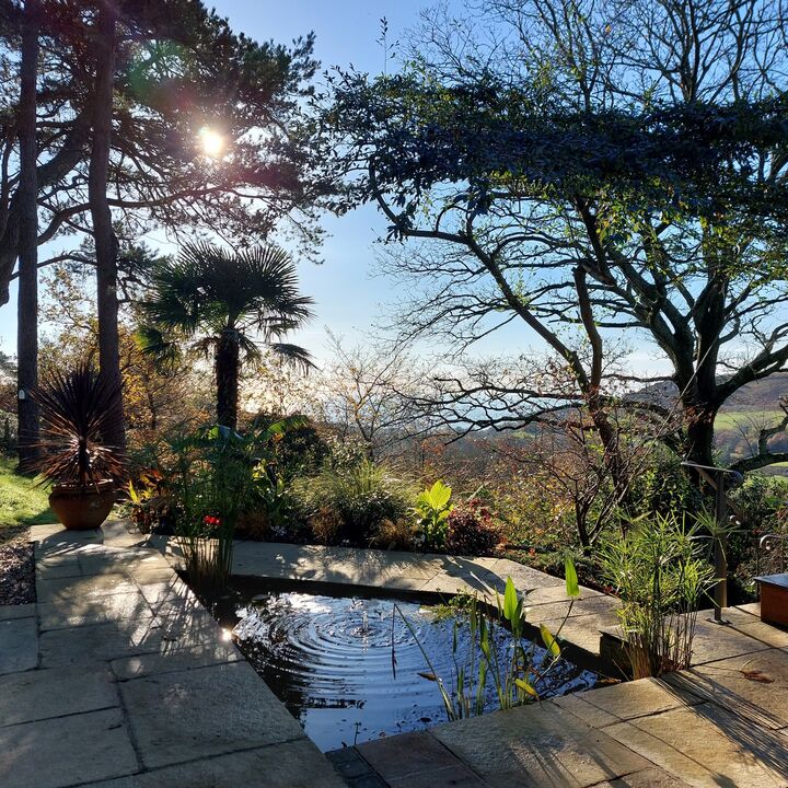 AM Gardens Clouds Hill Pool winter.jpg