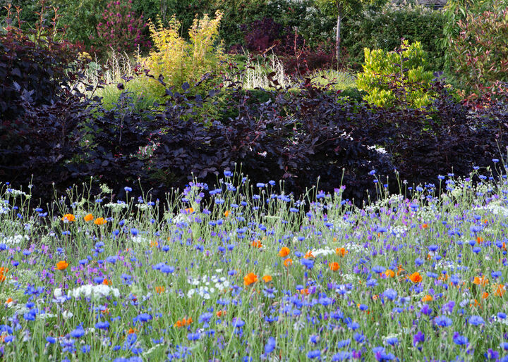 AM Gdns 17 Colour combinations.jpg