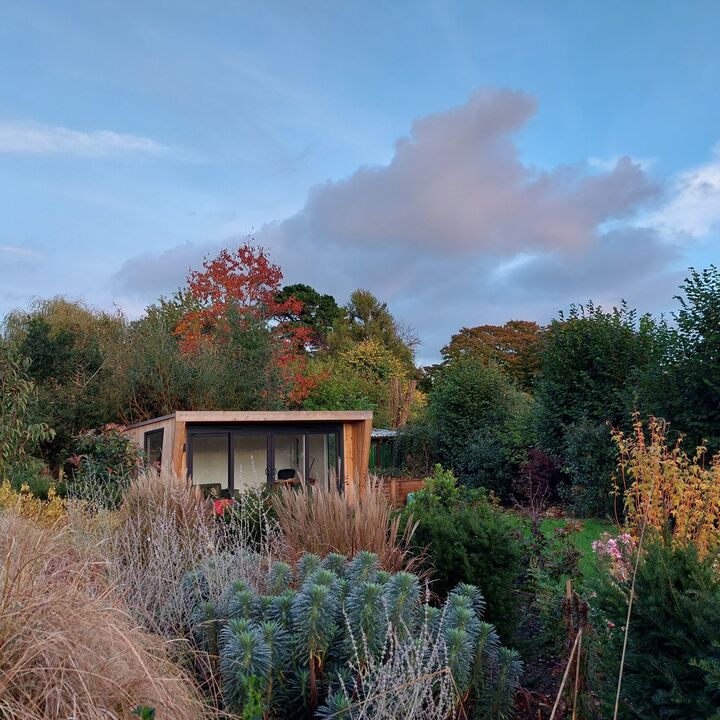 AM Gdns 29 Autumn.jpg