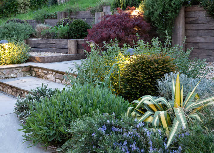 Hillside Garden, Lyme Regis