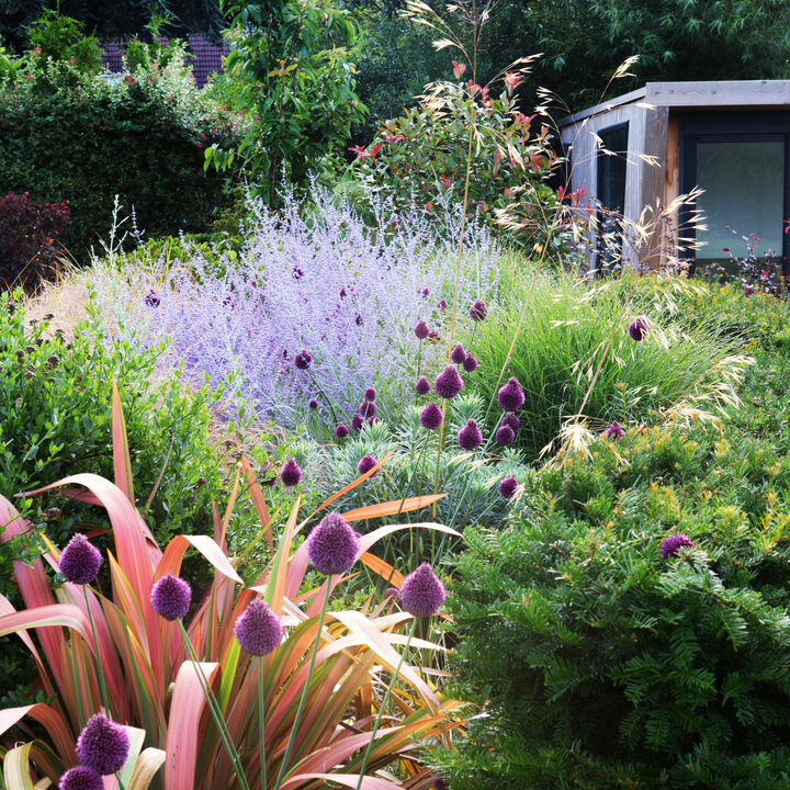 AM Gdns 09 Planting detail.jpg