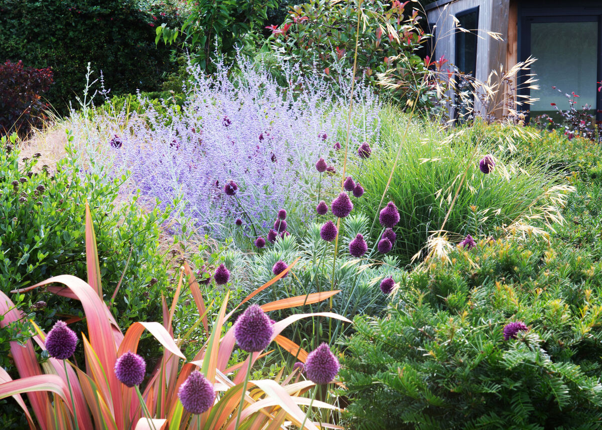 AM Gdns 09 Planting detail.jpg