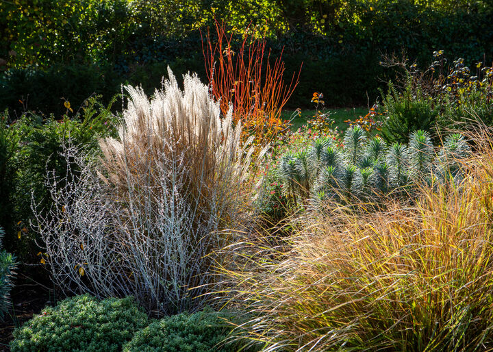 AM Gdns 30 Autumn.jpg