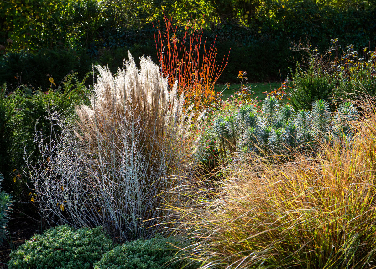 AM Gdns 30 Autumn.jpg