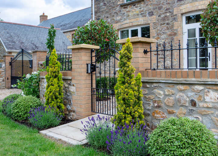 Front Garden, Taunton